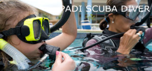 PADI - PSD